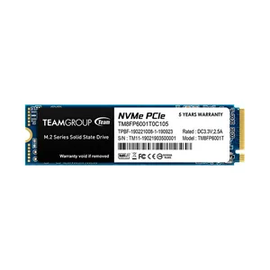 SSD TeamGroup TM8FP6001T0C101 1TB