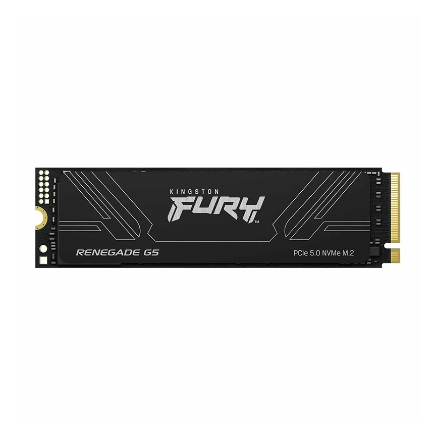 Foto 2 de SSD Kingston FURY Renegade G5 1024GB
